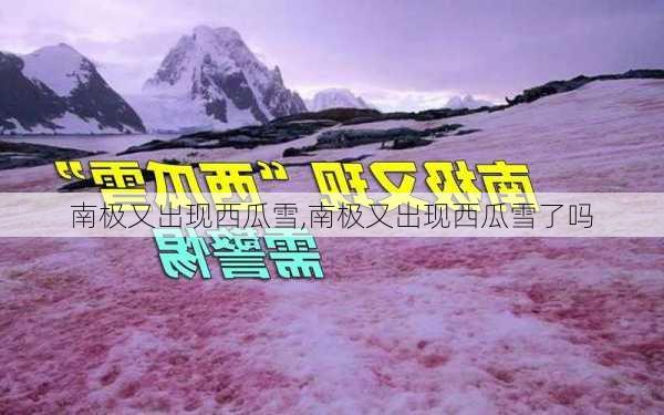 南极又出现西瓜雪,南极又出现西瓜雪了吗